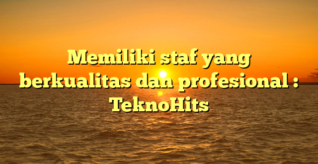 Memiliki staf yang berkualitas dan profesional : TeknoHits